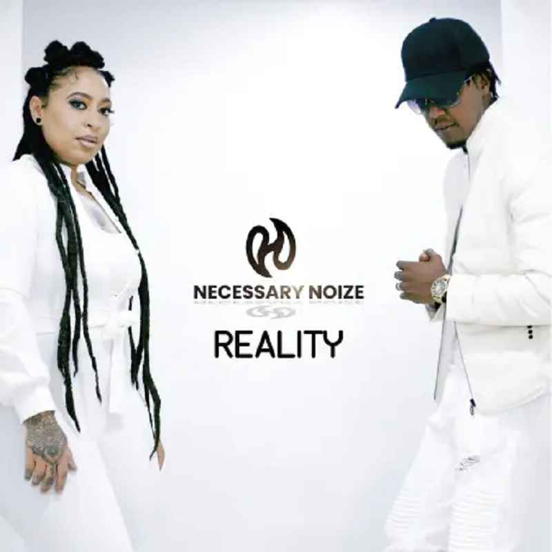 Necessary Noize- Reality Mp3 Download